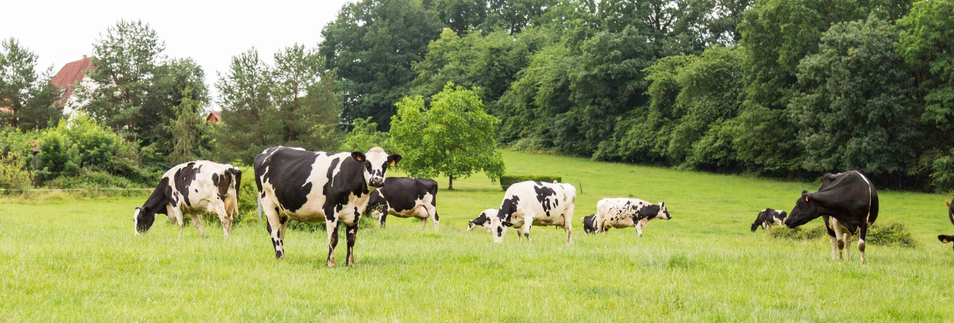 alsace-lait-nos-engagements