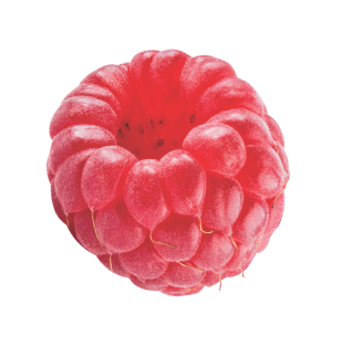 deco-framboise.0f65c7f6.png