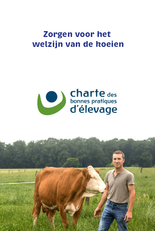 home-engagement-respect-nl