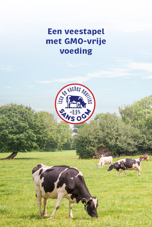 home-engagement-sans-ogm-nl